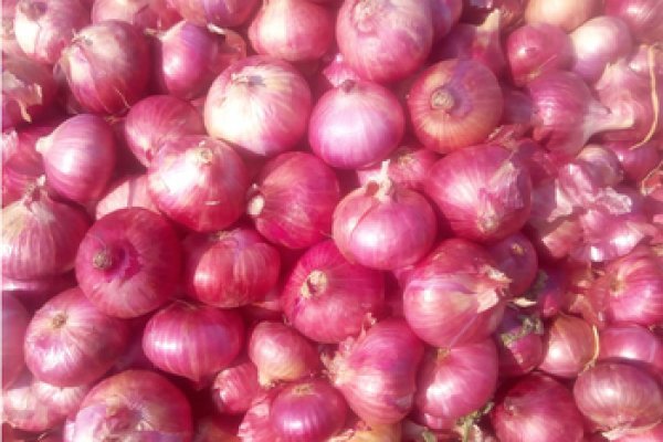 Mega ссылка тор onion